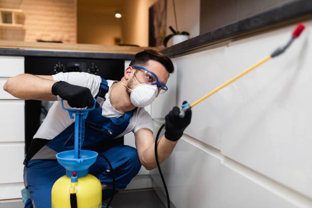 Best Best Pest Control Companies  in Edwardsburg, MI
