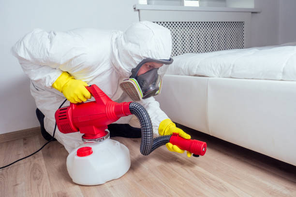 Professional Pest Control in Edwardsburg, MI