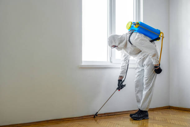 Best Wildlife Control Services  in Edwardsburg, MI
