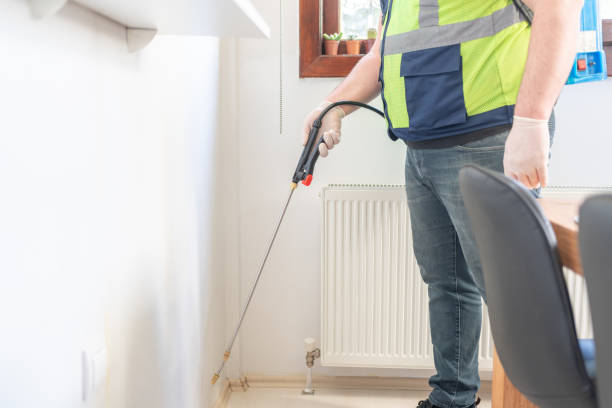 Best Local Pest Control Services  in Edwardsburg, MI