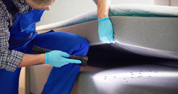 Best Best Pest Control Companies  in Edwardsburg, MI