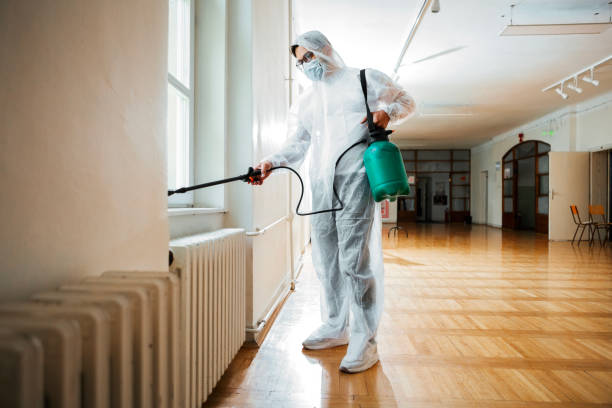 Best Local Pest Control Services  in Edwardsburg, MI