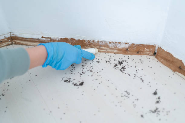 Best Affordable Pest Control Services  in Edwardsburg, MI
