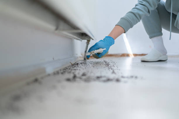 Best Best Pest Control Near Me  in Edwardsburg, MI