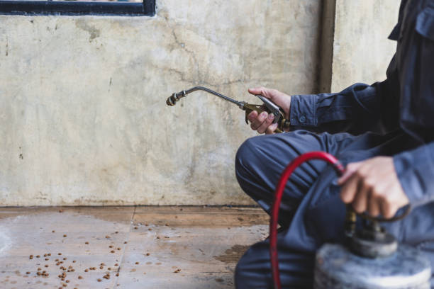 Best Residential Pest Control  in Edwardsburg, MI