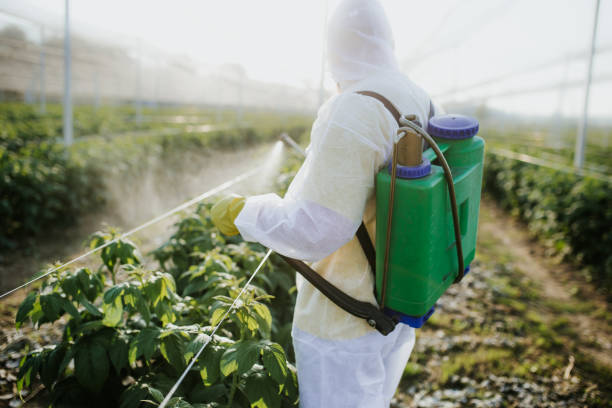 Best Cockroach Control Services  in Edwardsburg, MI